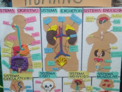 Elaboración de maquetas, desarrollo de proyectos escolares