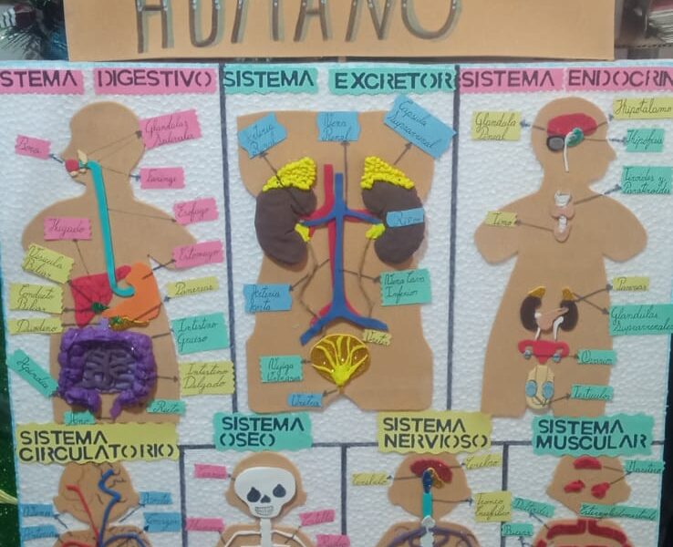 Elaboración de maquetas, desarrollo de proyectos escolares